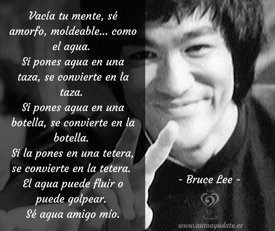 Frases De Bruce Lee En Español